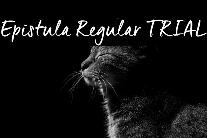 Epistula Regular TRIAL Example 1