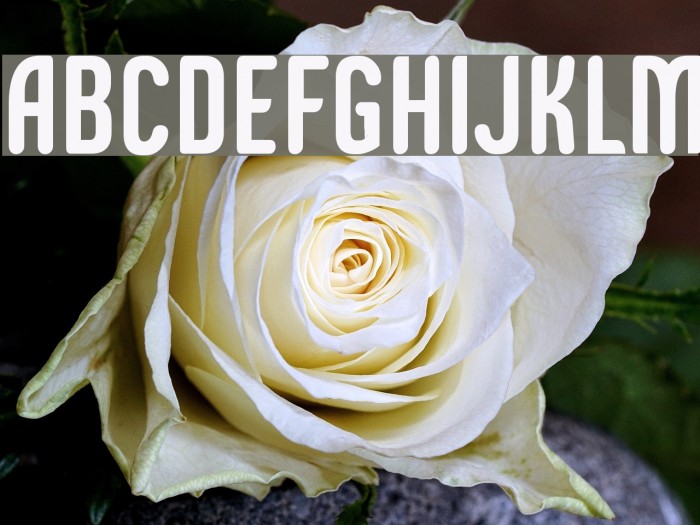 Epitough Font examples
