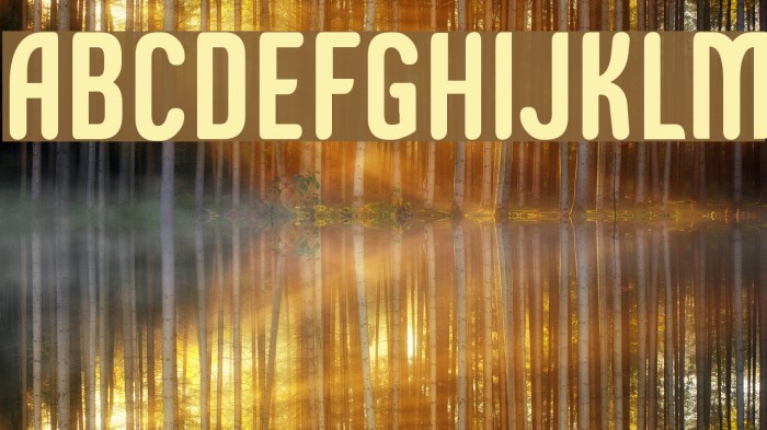 Epitough Font examples