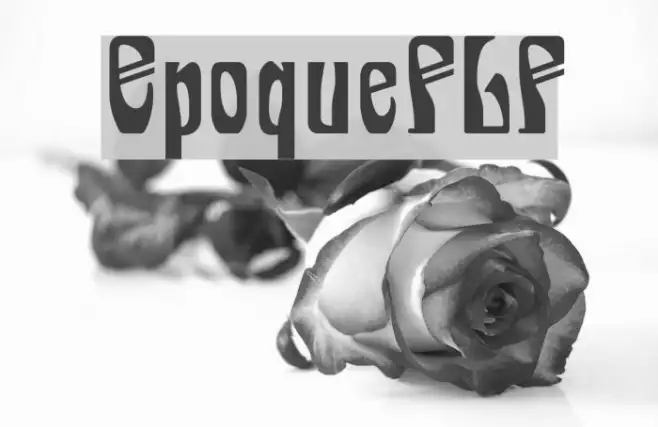 EpoqueFLF Example 2