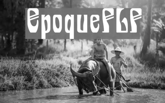 EpoqueFLF Example 3