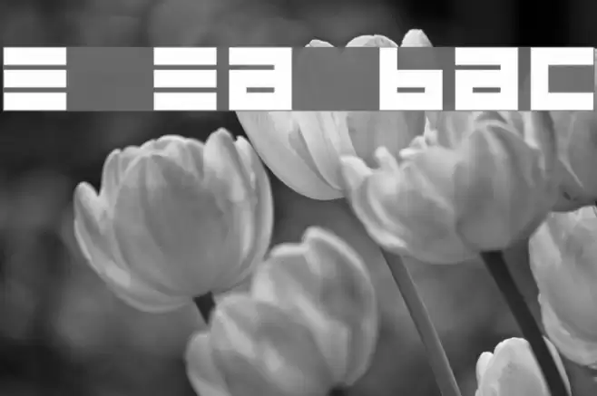 Epps Evans Black Font examples