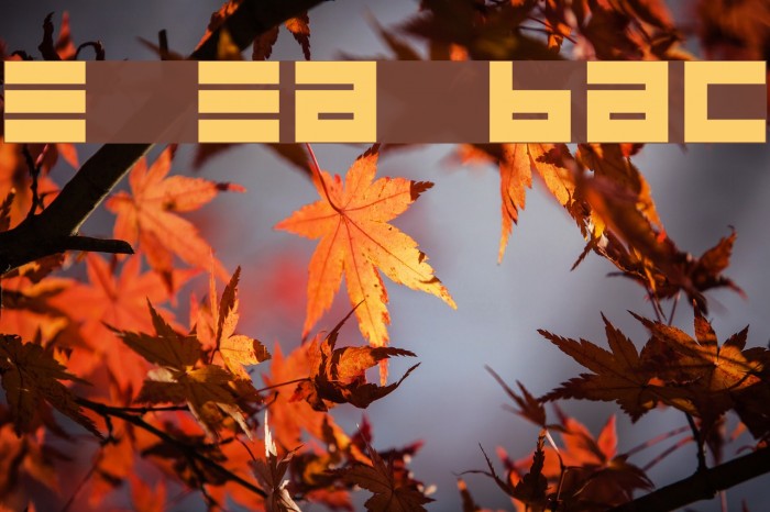 Epps Evans Black Font examples
