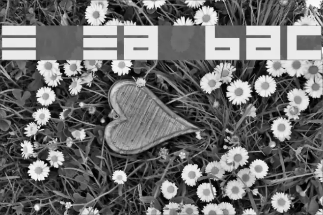 Epps Evans Black Font examples