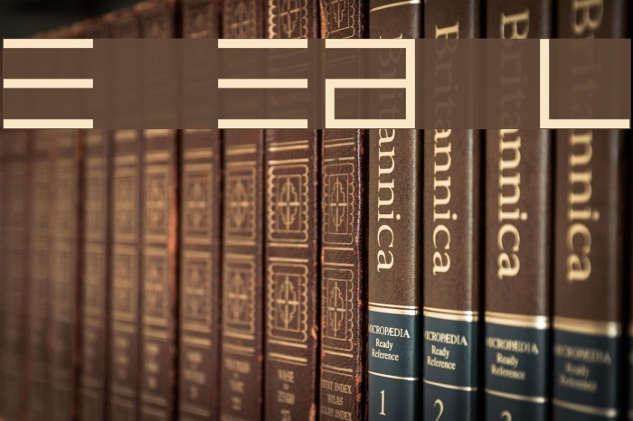 Epps Evans Light Font examples