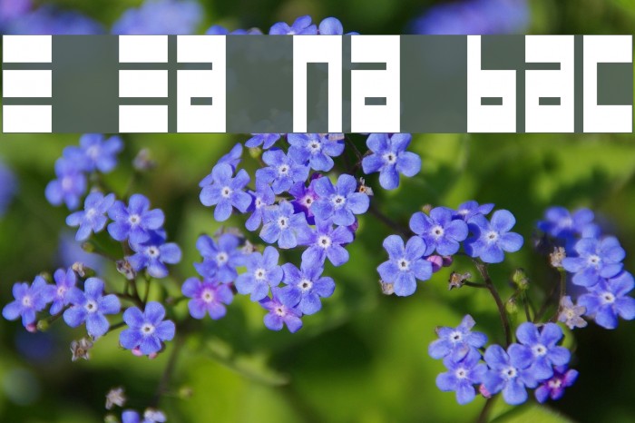 Epps Evans Narrow Black Font examples