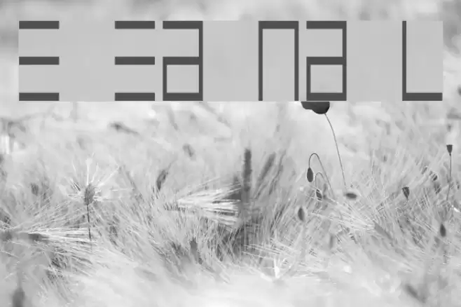 Epps Evans Narrow Light Font examples