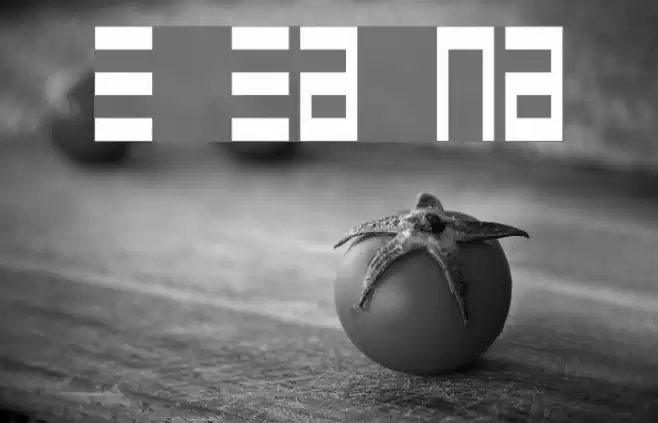 Epps Evans Narrow Font examples