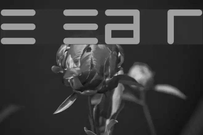 Eppy Evans Round Font examples