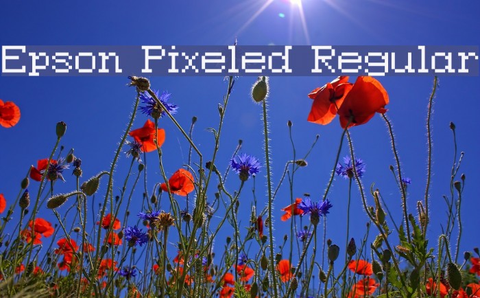 Epson Pixeled Regular Font examples