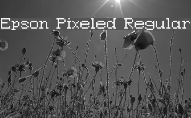 Epson Pixeled Regular Example 1