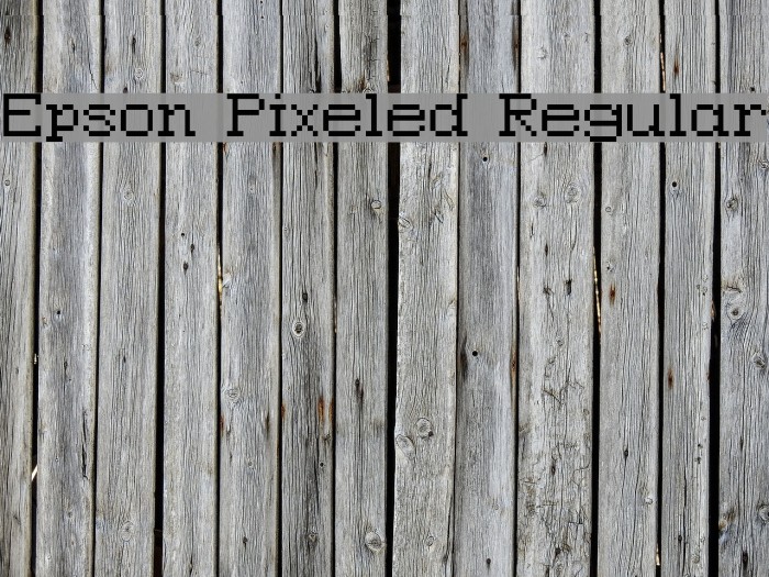 Epson Pixeled Regular Font examples