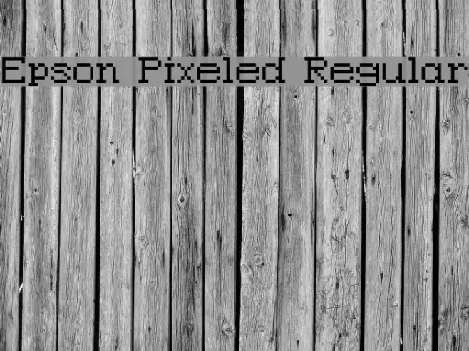 Epson Pixeled Regular Example 2