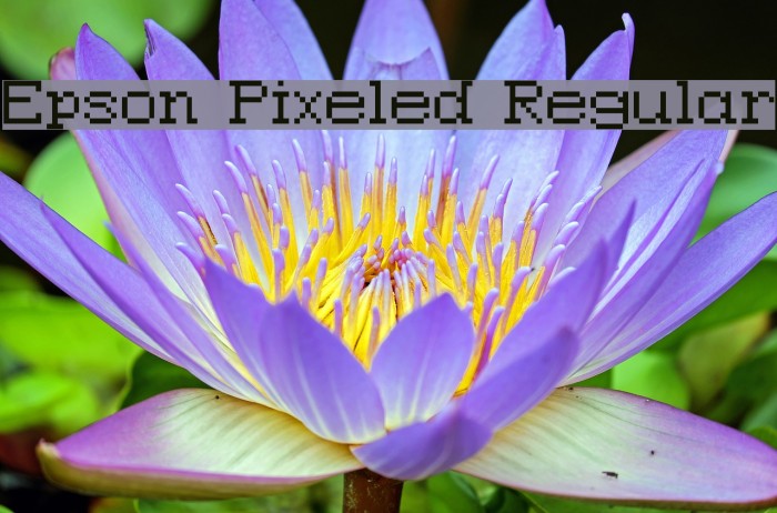 Epson Pixeled Regular Font examples