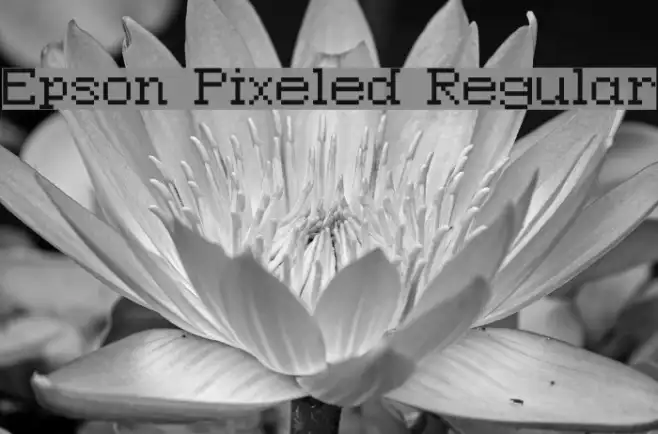 Epson Pixeled Regular Example 3