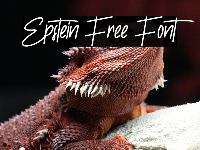 Epstein Free Font Example 2