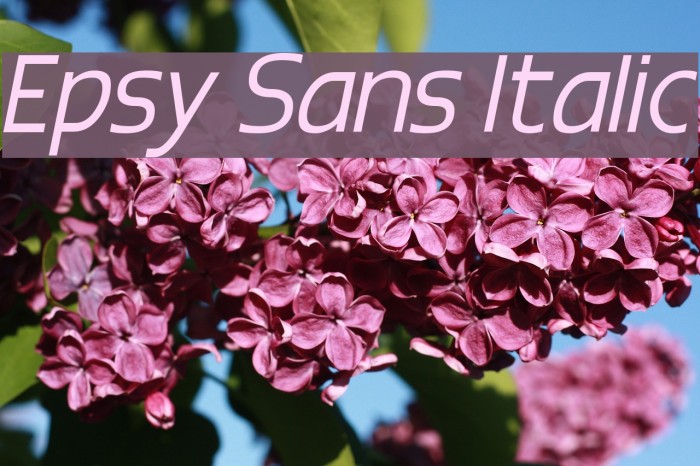 Epsy Sans Italic Font examples