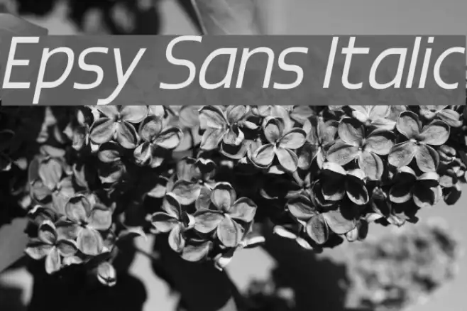 Epsy Sans Italic Example 2