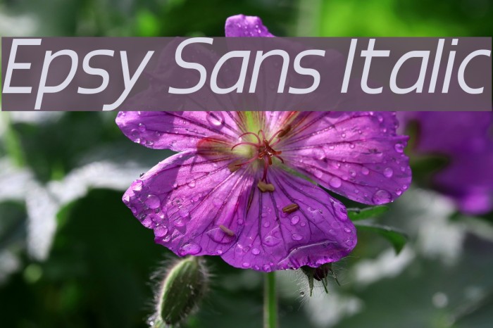 Epsy Sans Italic Font examples