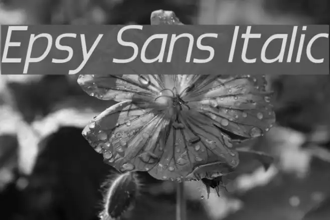 Epsy Sans Italic Example 3