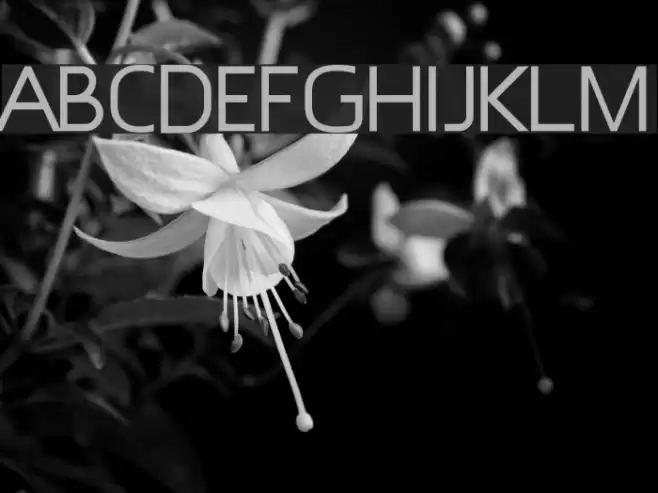 Epsy Sans Schriftart examples