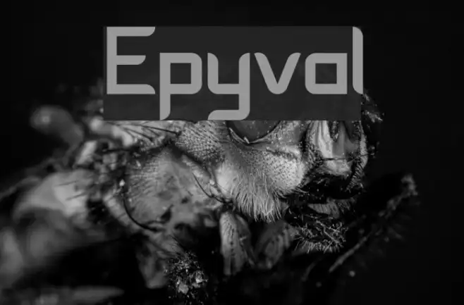 Epyval Example 2