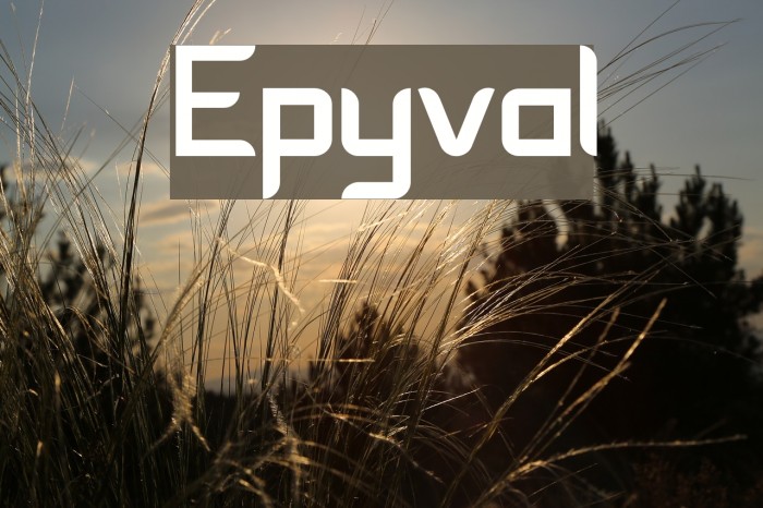 Epyval Font examples