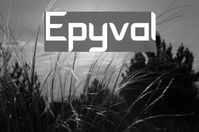Epyval Example 3