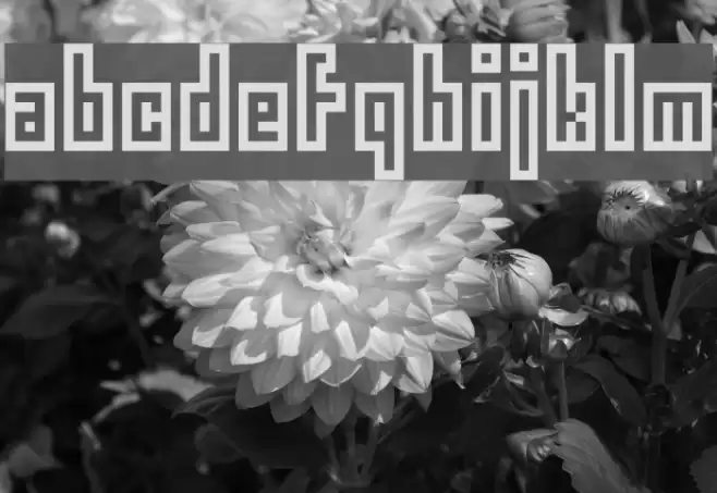 epimodemic Font examples