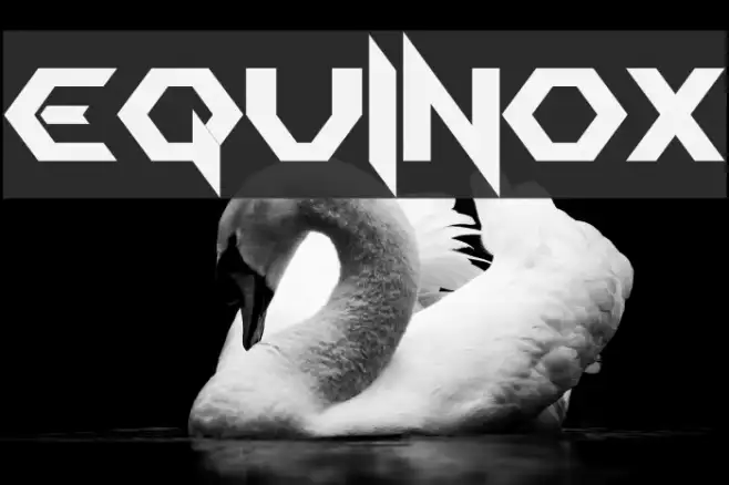 EQUINOX Example 2