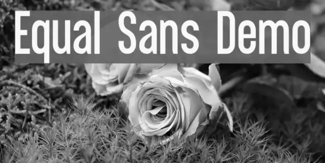 Equal Sans Demo Font examples