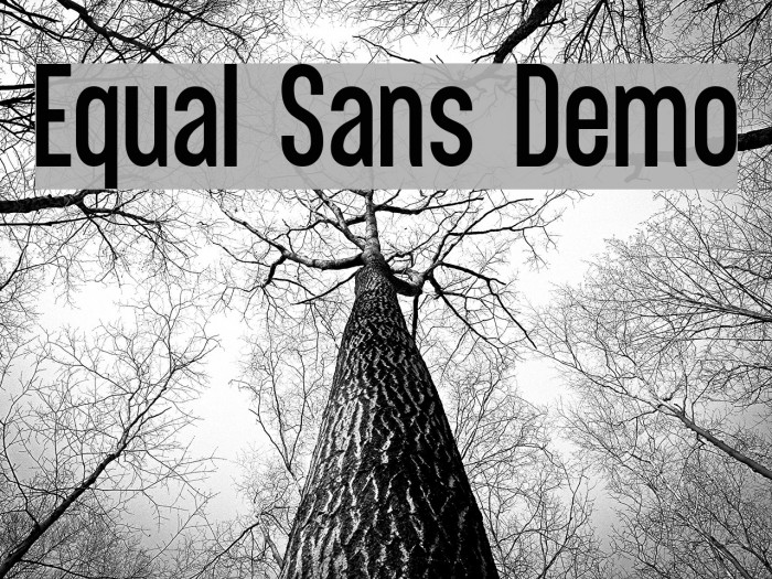 Equal Sans Demo Font examples
