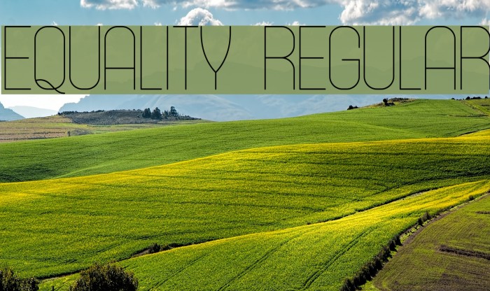 Equality Regular Font examples