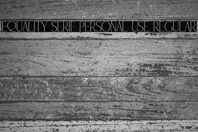 Equality Serif PERSONAL USE Regular Example 1