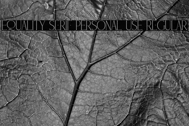 Equality Serif PERSONAL USE Regular Example 2