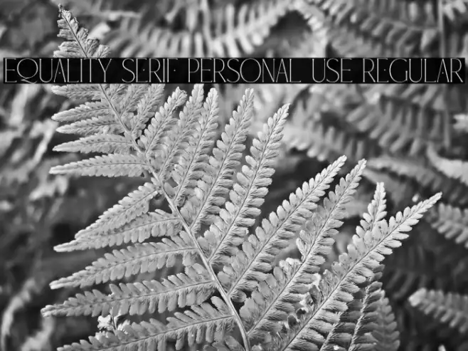 Equality Serif PERSONAL USE Regular Example 3