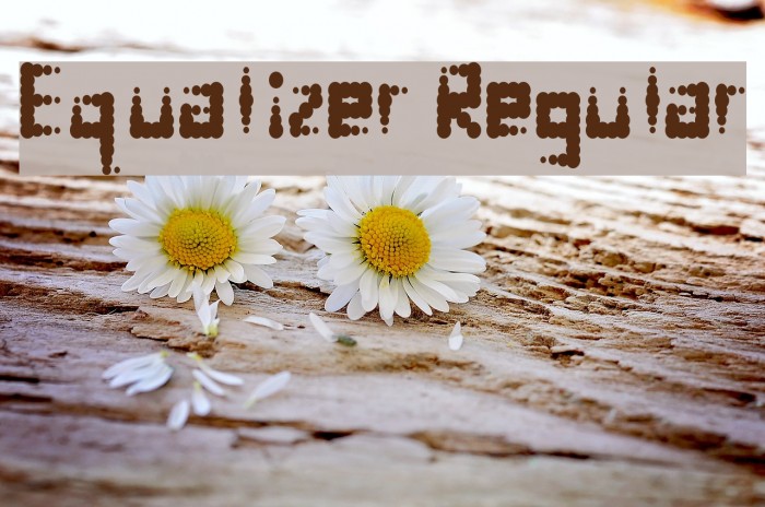 Equalizer Regular Font examples