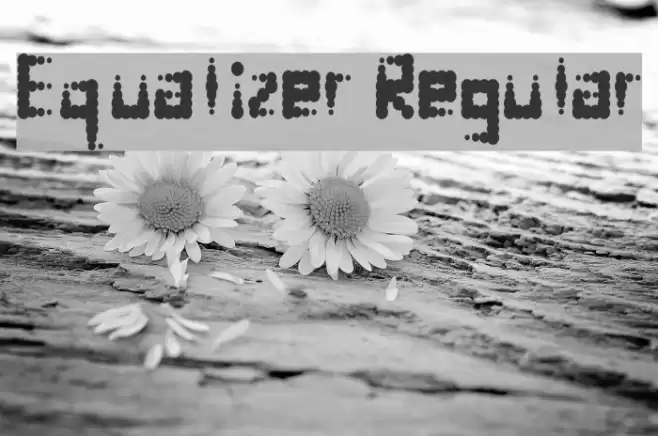 Equalizer Regular Font examples