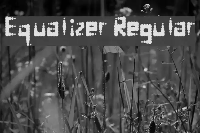 Equalizer Regular Font examples