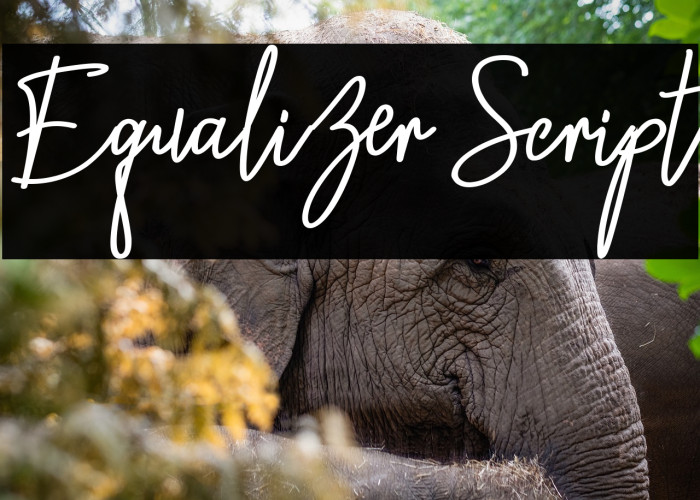 Equalizer Script Example 3