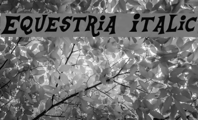 Equestria Italic Font examples