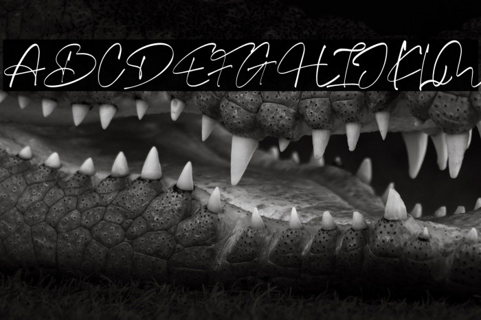 Equestrian Style personal use Example 1