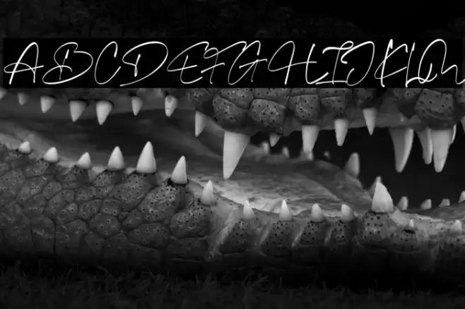 Equestrian Style personal use Font examples