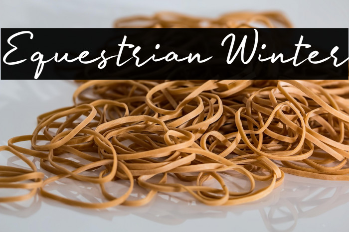 Equestrian Winter Example 1