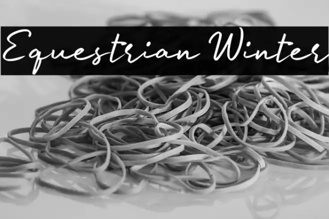 Equestrian Winter Example 1