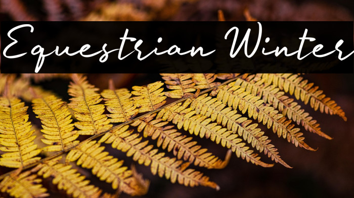 Equestrian Winter Example 2