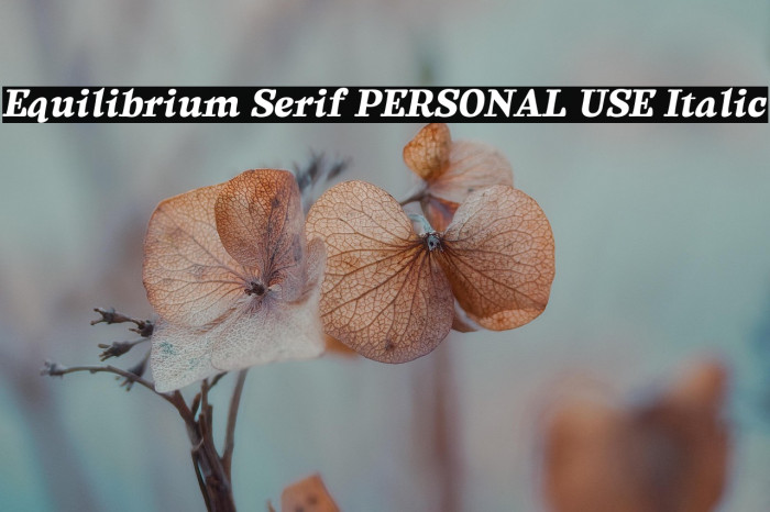 Equilibrium Serif PERSONAL USE Italic Example 1