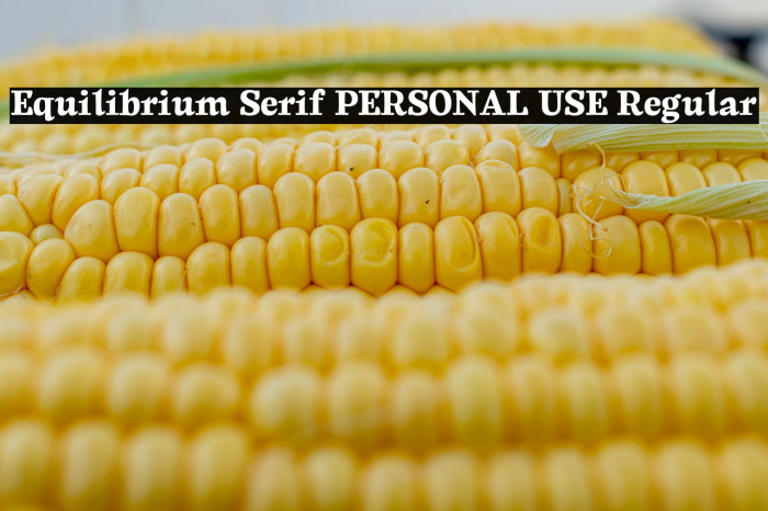Equilibrium Serif PERSONAL USE Regular Example 2