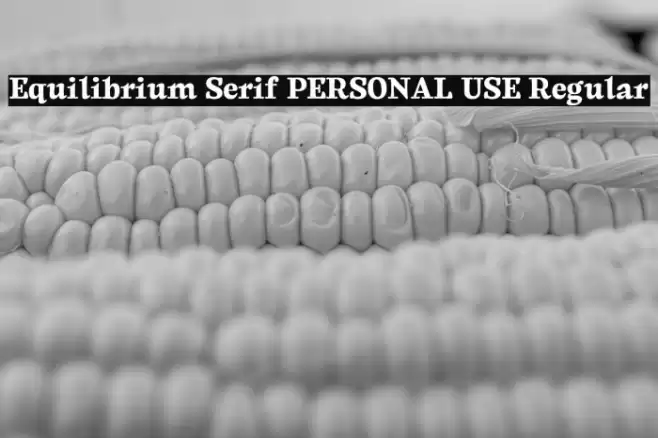 Equilibrium Serif PERSONAL USE Regular Font examples