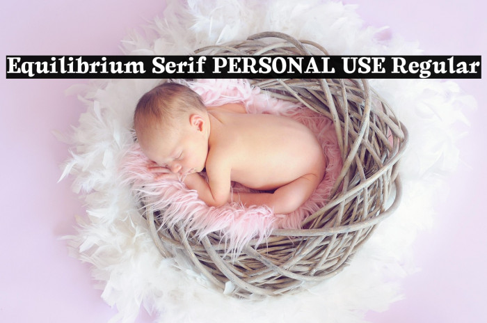 Equilibrium Serif PERSONAL USE Regular Example 3